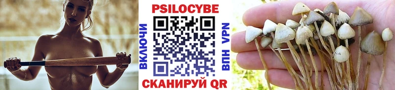 Псилоцибиновые грибы GOLDEN TEACHER  кракен зеркало  мориарти телеграм  как найти закладки  Ульяновск 